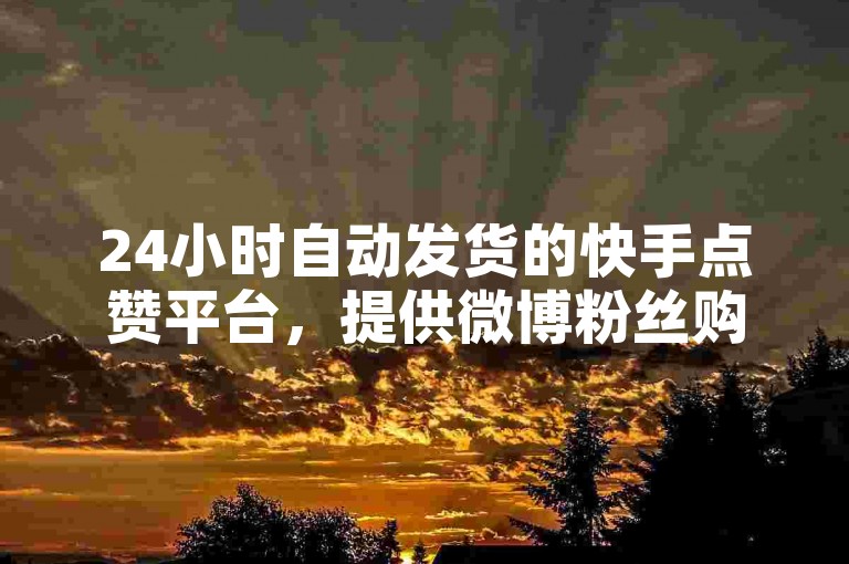 24小时自动发货的快手点赞平台，提供微博粉丝购买服务，王一博与肖战的人气助力。