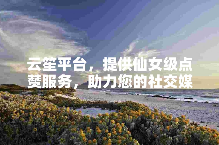 云笙平台，提供仙女级点赞服务，助力您的社交媒体影响力飙升。