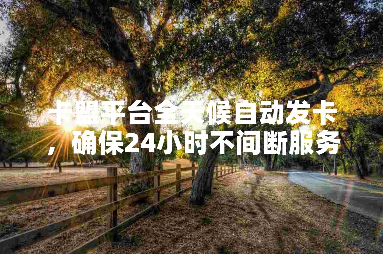 卡盟平台全天候自动发卡，确保24小时不间断服务。