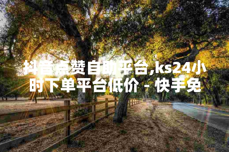 抖音点赞自助平台,ks24小时下单平台低价 - 快手免费上热门网站 - 点赞充值平台