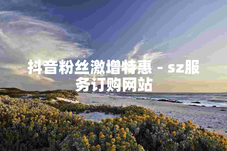 抖音粉丝激增特惠 - sz服务订购网站