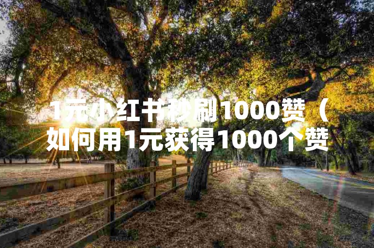 1元小红书秒刷1000赞（如何用1元获得1000个赞？）