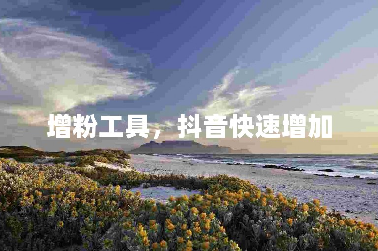 增粉工具，抖音快速增加5000关注者。