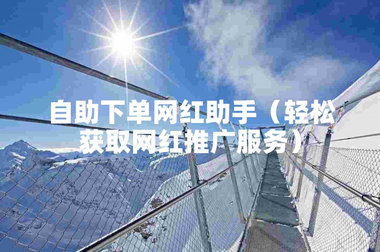 自助下单网红助手（轻松获取网红推广服务）