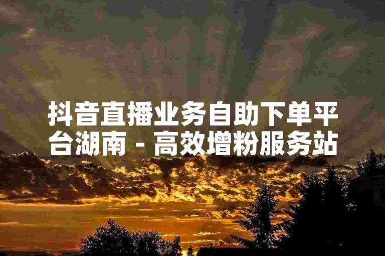 抖音直播业务自助下单平台湖南 - 高效增粉服务站点