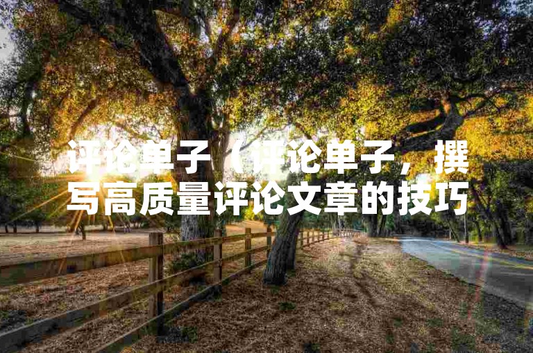 评论单子（评论单子，撰写高质量评论文章的技巧与方法）