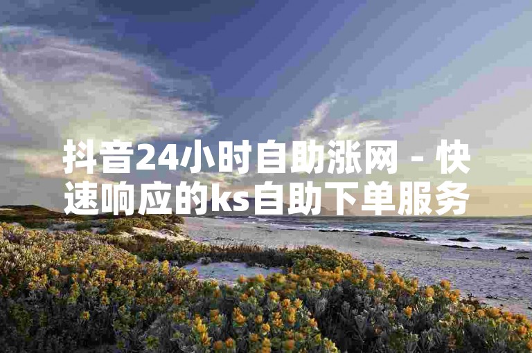 抖音24小时自助涨网 - 快速响应的ks自助下单服务平台，价格实惠。