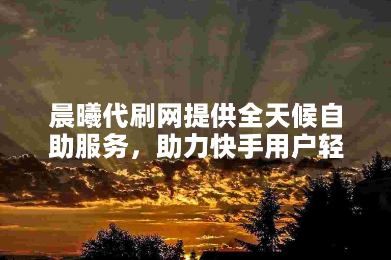 晨曦代刷网提供全天候自助服务，助力快手用户轻松获取无限快币。