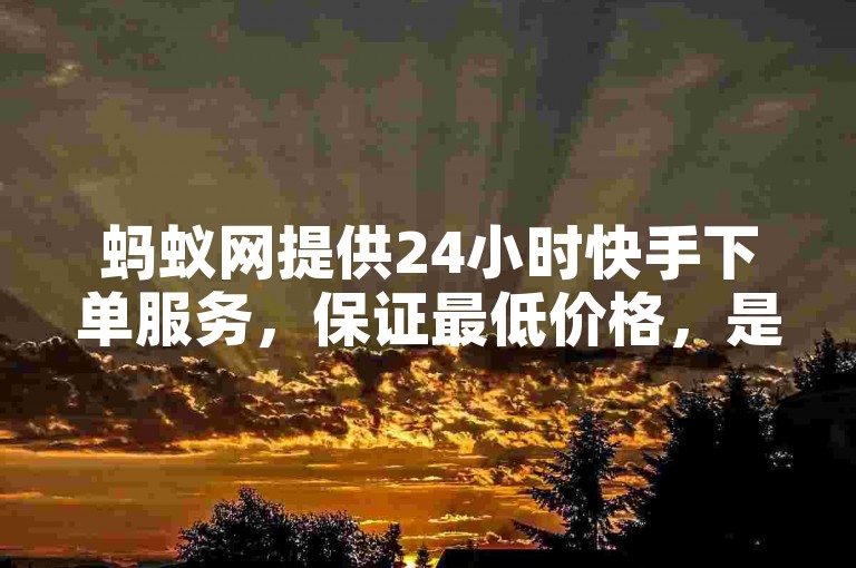 蚂蚁网提供24小时快手下单服务，保证最低价格，是KS直播业务的首选平台。