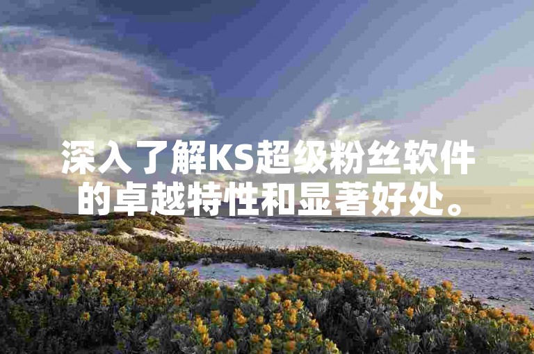 深入了解KS超级粉丝软件的卓越特性和显著好处。