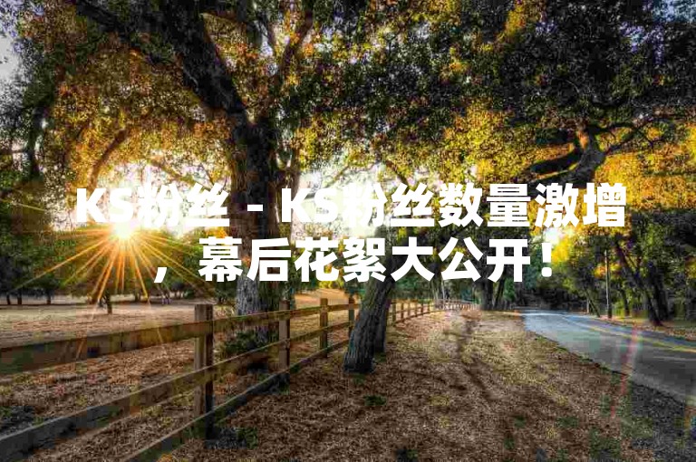 KS粉丝 - KS粉丝数量激增，幕后花絮大公开！