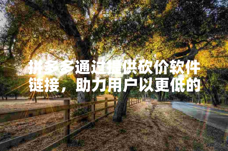 拼多多通过提供砍价软件链接，助力用户以更低的价格购买商品。