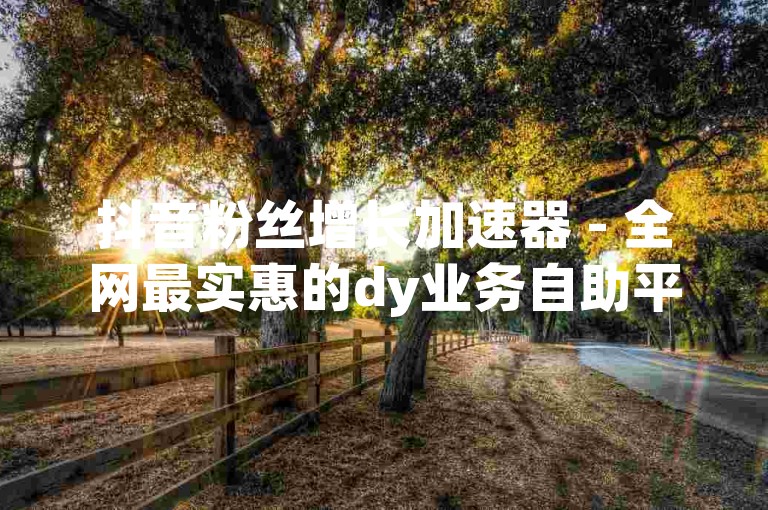 抖音粉丝增长加速器 - 全网最实惠的dy业务自助平台。