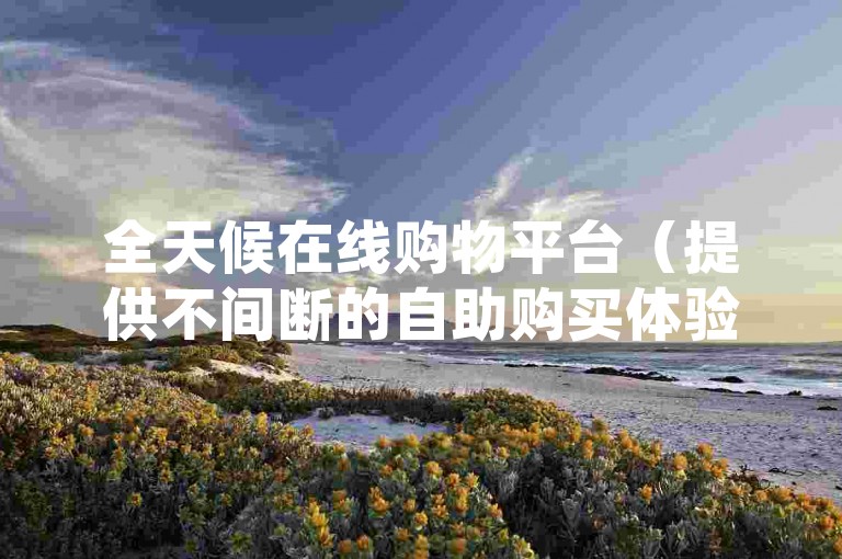 全天候在线购物平台（提供不间断的自助购买体验-轻松快捷、即刻选购）