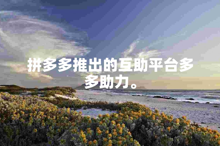 拼多多推出的互助平台多多助力。