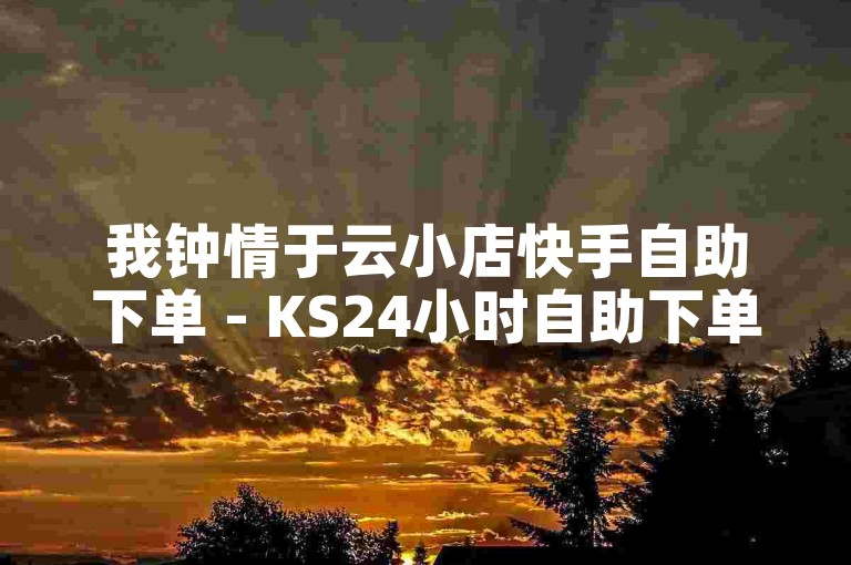 我钟情于云小店快手自助下单 - KS24小时自助下单。
