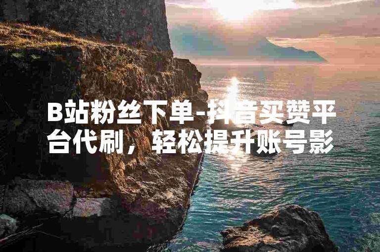 B站粉丝下单-抖音买赞平台代刷，轻松提升账号影响力。