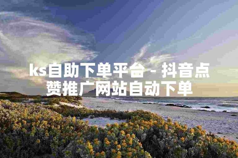 ks自助下单平台 - 抖音点赞推广网站自动下单
