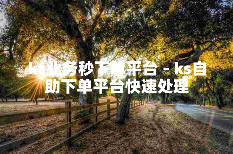 ks业务秒下单平台 - ks自助下单平台快速处理