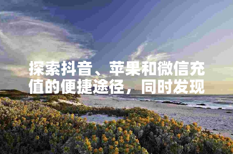 探索抖音、苹果和微信充值的便捷途径，同时发现粉丝交易与QQ业务平台的秘密通道。