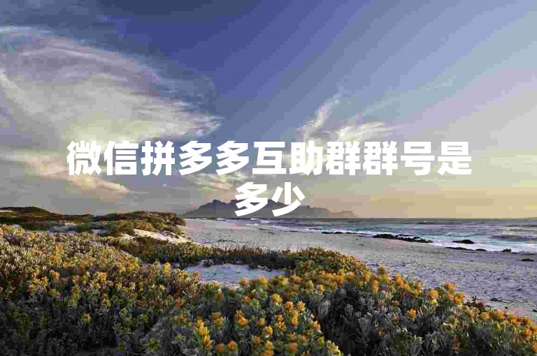 微信拼多多互助群群号是多少