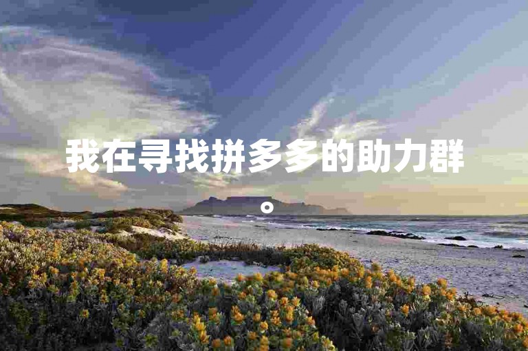 我在寻找拼多多的助力群。