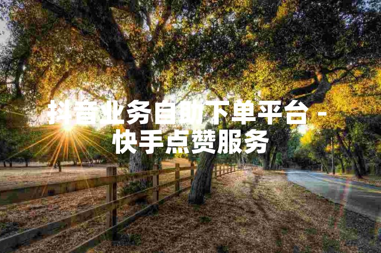 抖音业务自助下单平台 - 快手点赞服务