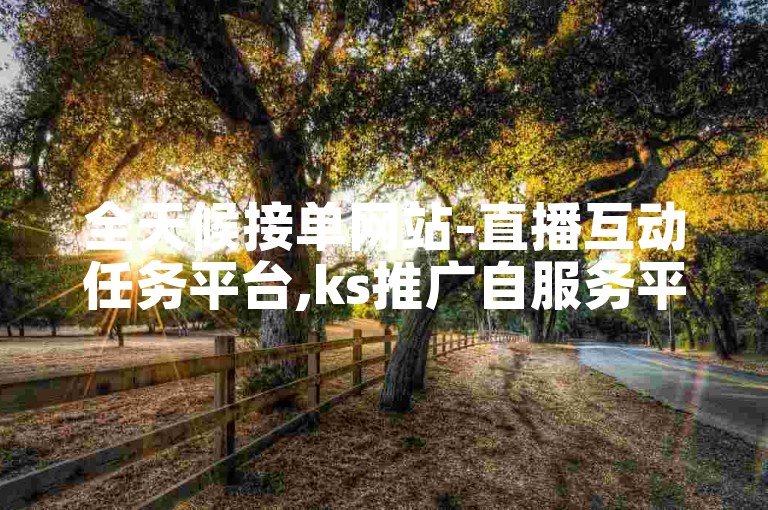 全天候接单网站-直播互动任务平台,ks推广自服务平台优惠价