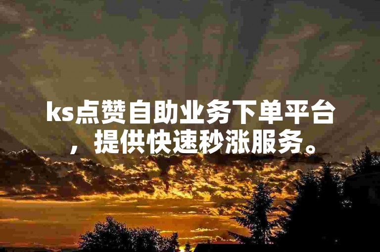ks点赞自助业务下单平台，提供快速秒涨服务。