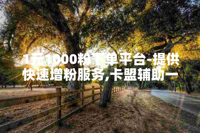 1元1000粉下单平台-提供快速增粉服务,卡盟辅助一手货源网站。
