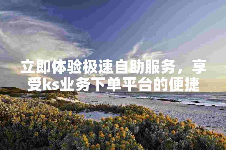 立即体验极速自助服务，享受ks业务下单平台的便捷与高效。