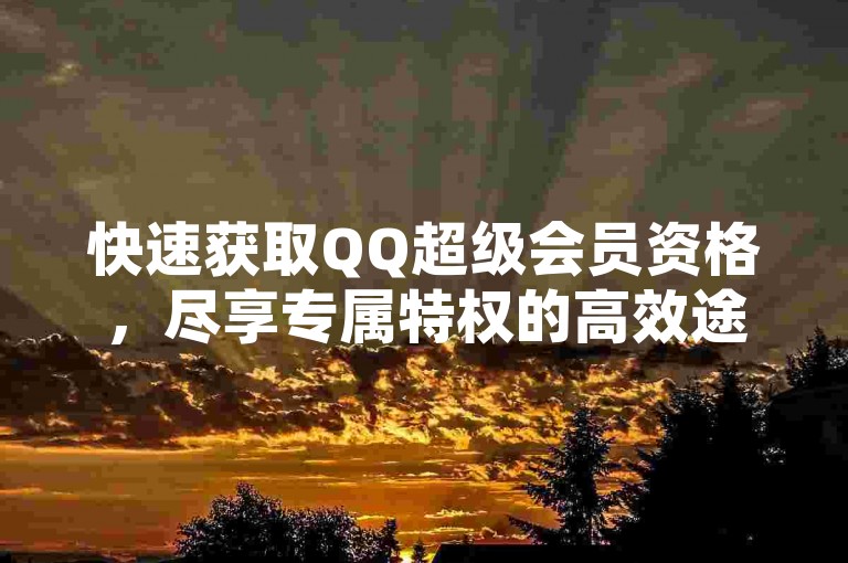 快速获取QQ超级会员资格，尽享专属特权的高效途径。