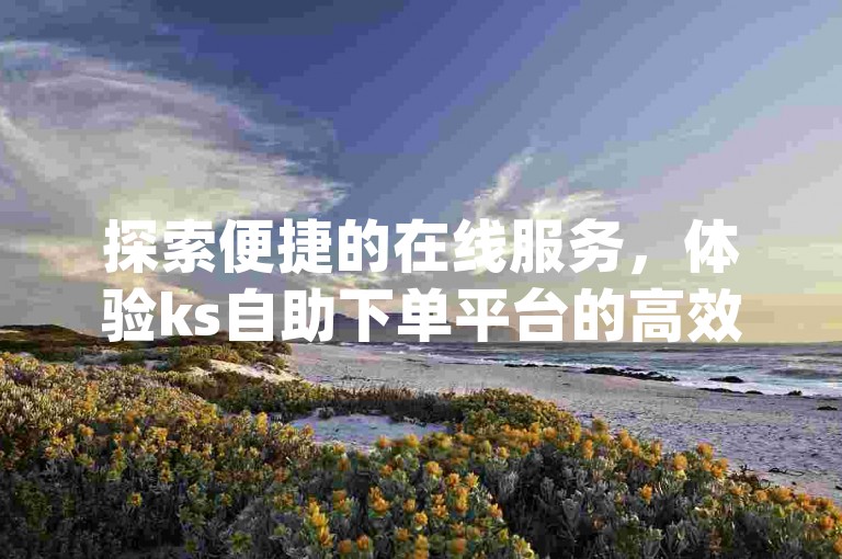 探索便捷的在线服务，体验ks自助下单平台的高效与qqks业务自助下单软件的无缝对接。