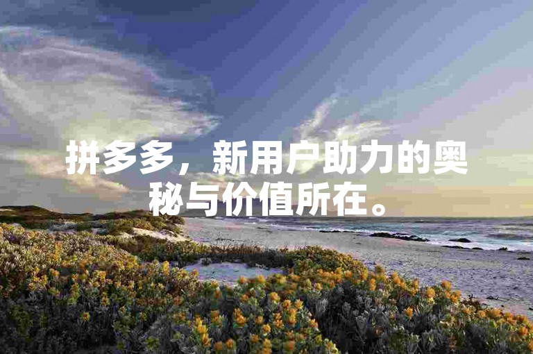拼多多，新用户助力的奥秘与价值所在。