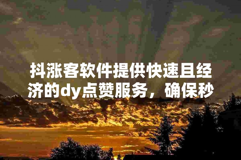 抖涨客软件提供快速且经济的dy点赞服务，确保秒速到账。