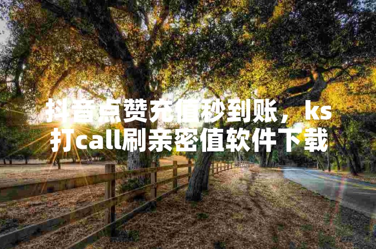 抖音点赞充值秒到账，ks打call刷亲密值软件下载 - 快手点赞秒到账便宜 - 快手业务网站探索无界。