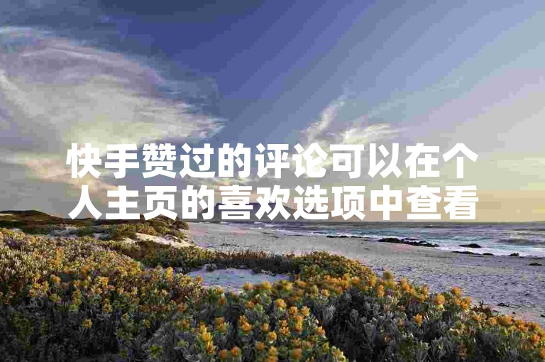 快手赞过的评论可以在个人主页的喜欢选项中查看。