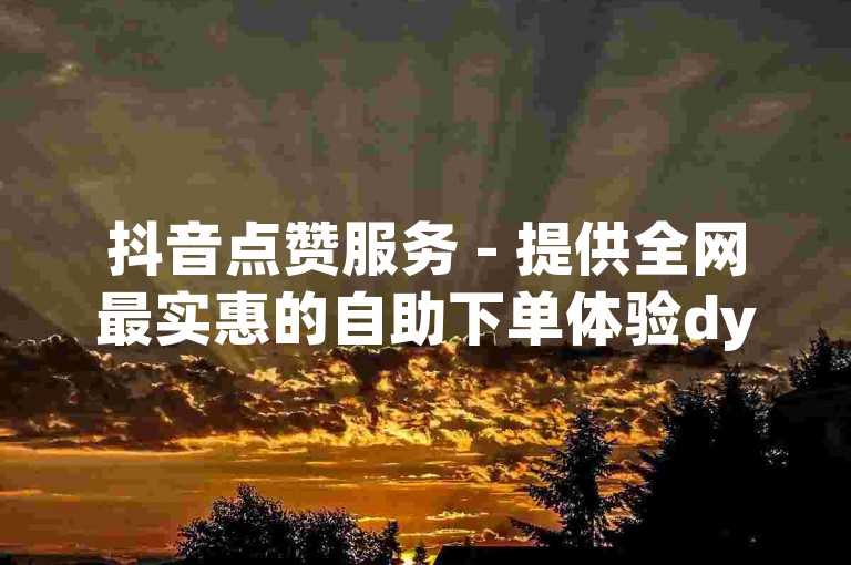 抖音点赞服务 - 提供全网最实惠的自助下单体验dy