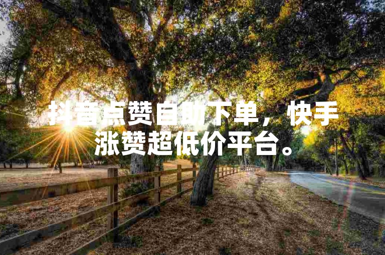抖音点赞自助下单，快手涨赞超低价平台。