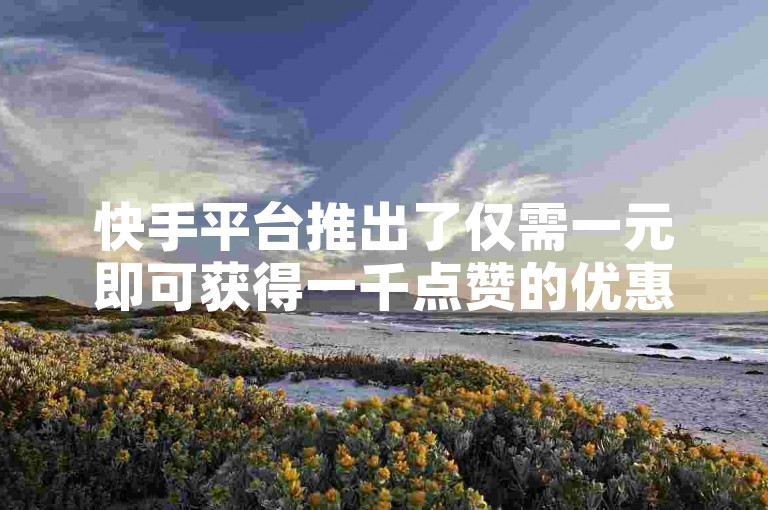 快手平台推出了仅需一元即可获得一千点赞的优惠活动，吸引了大量用户参与互动。