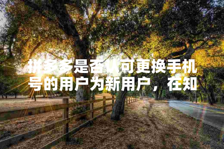 拼多多是否认可更换手机号的用户为新用户，在知乎上有相关讨论。
