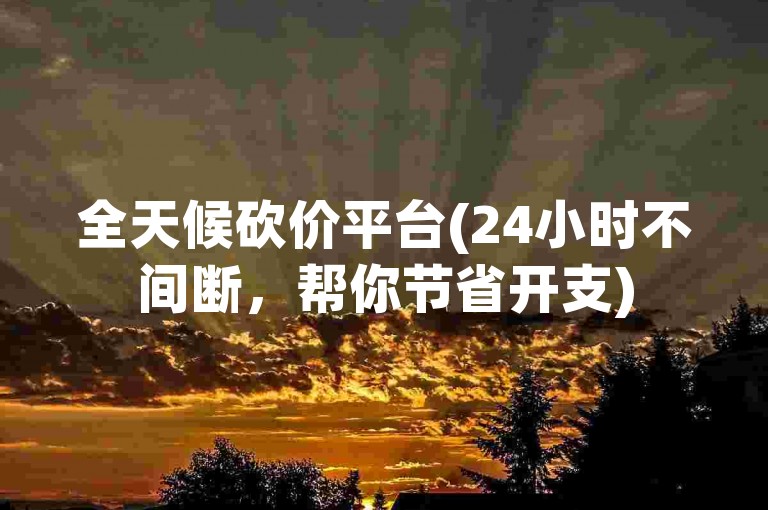 全天候砍价平台(24小时不间断，帮你节省开支)