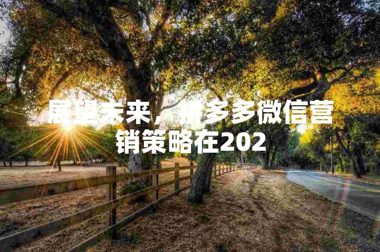 展望未来，拼多多微信营销策略在2025年的潜在影响与前景分析。