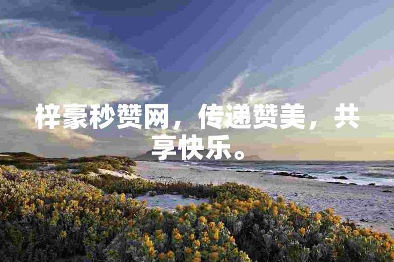 梓豪秒赞网，传递赞美，共享快乐。