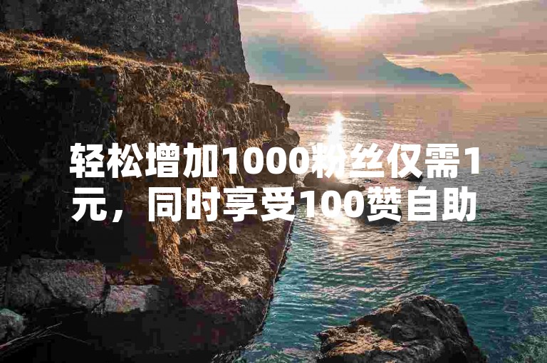 轻松增加1000粉丝仅需1元，同时享受100赞自助下单服务，还有代刷空间访客的便捷选项。