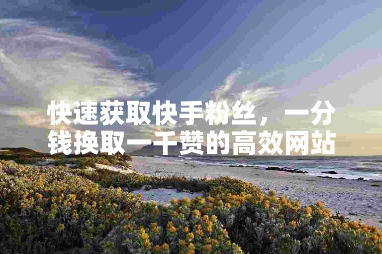 快速获取快手粉丝，一分钱换取一千赞的高效网站。