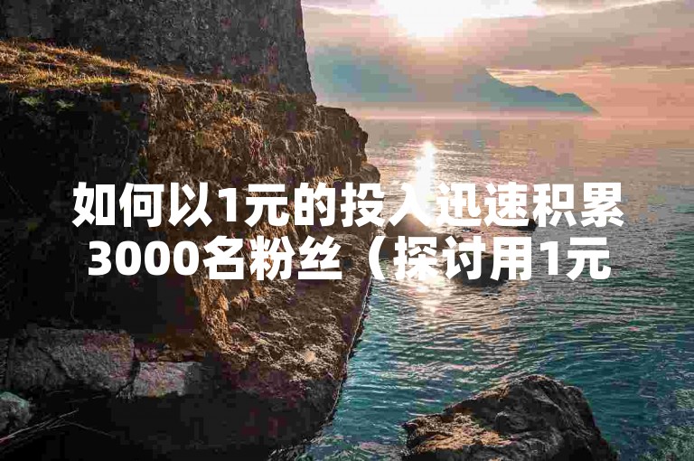 如何以1元的投入迅速积累3000名粉丝（探讨用1元资金快速获取3000粉丝的方法）