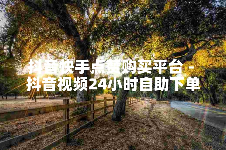 抖音快手点赞购买平台 - 抖音视频24小时自助下单网站