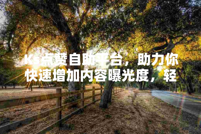 Ks点赞自助平台，助力你快速增加内容曝光度，轻松提升个人或品牌的网络影响力！