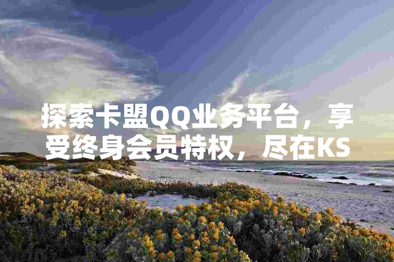 探索卡盟QQ业务平台，享受终身会员特权，尽在KS低价下单平台，揭秘独家优惠。